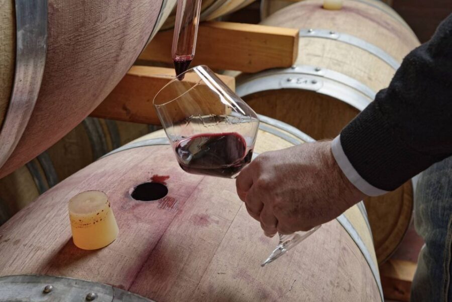 From Sorrento: Full-Day Pompeii & Wine Tasting Tour - Getting the Value: Why the Price Makes Sense for This Mix