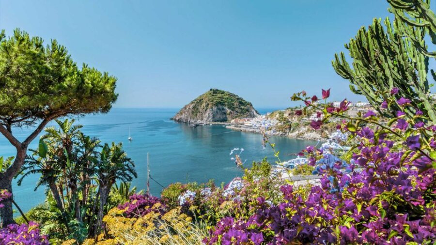 From Sorrento: Ischia and Procida Boat Tour - 1–2 hours in Procida: quick island immersion with trade-offs