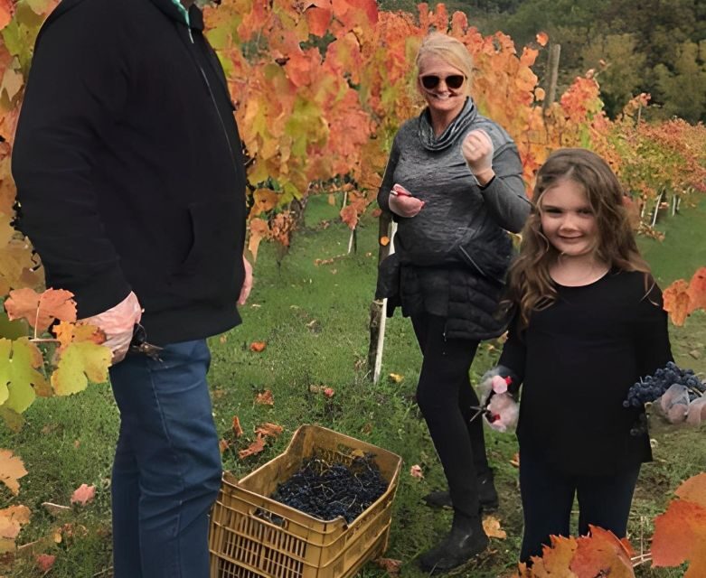 From Sorrento & Naples: Cortecorbo Wine & Cooking Experience - Tips so you enjoy the vineyard walk and don’t feel rushed
