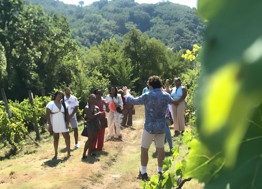 From Sorrento & Naples: Cortecorbo Wine & Cooking Experience - Should you book this Cortecorbo day trip?