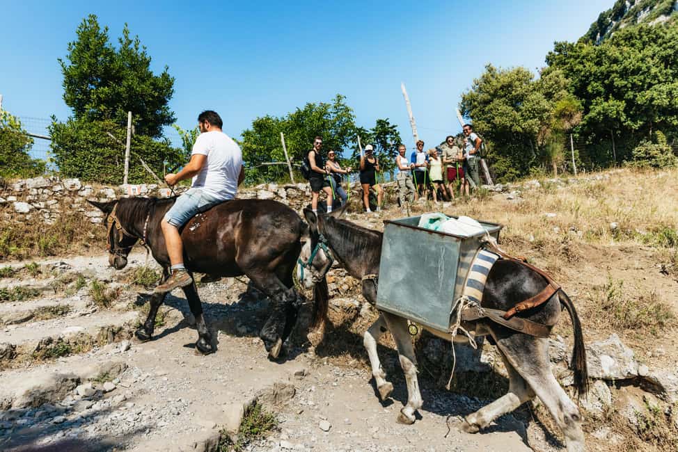 From Sorrento: Path of the Gods Guided Hike with Transfers - Tips to Make Your Day Better (Even If the Weather Changes)