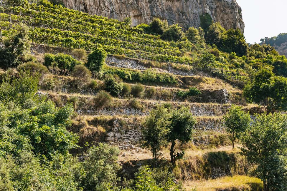 From Sorrento: Path of the Gods Guided Hike with Transfers - Should You Book This Path of the Gods Tour from Sorrento?