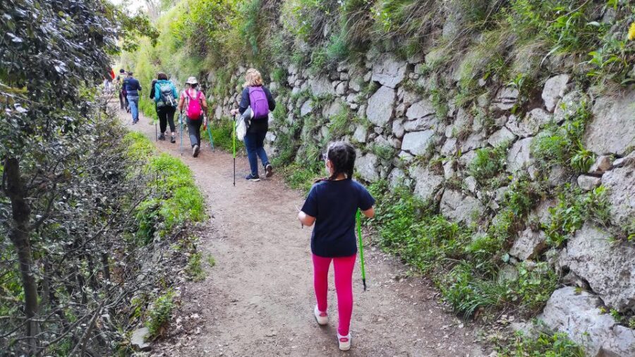 From Sorrento: Path of the Gods Hike with Tasting Stop - Ruins, vineyards, and terraces: the quiet history along the trail