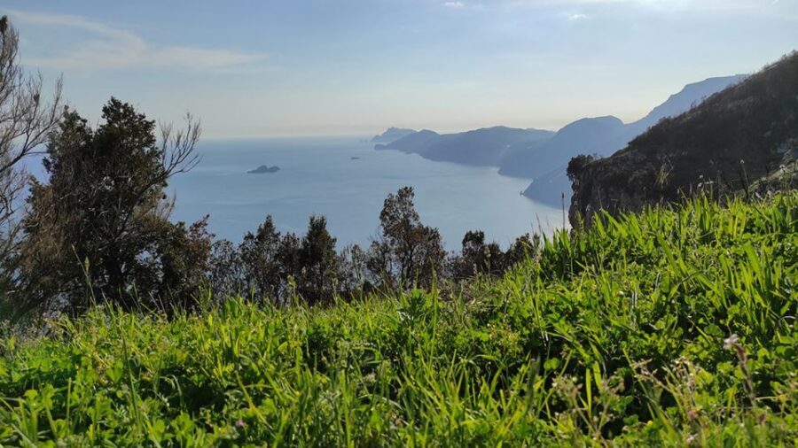From Sorrento: Path of the Gods Hike with Tasting Stop - Transfers that matter: the real value of starting and ending in the right place