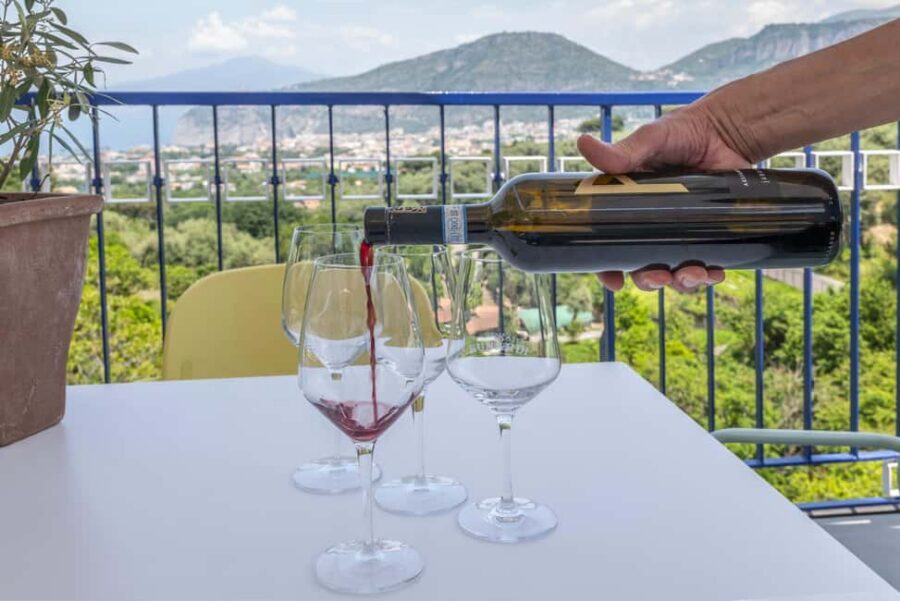 From Sorrento: Pizza-Making Class w/ View of Mount Vesuvius - Who This Class Fits Best (Couples, Families, and Food People)