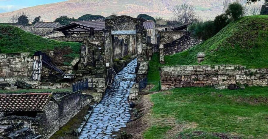 From Sorrento: Pompeii and Vesuvius Skip-the-Line Tour - Key highlights that matter