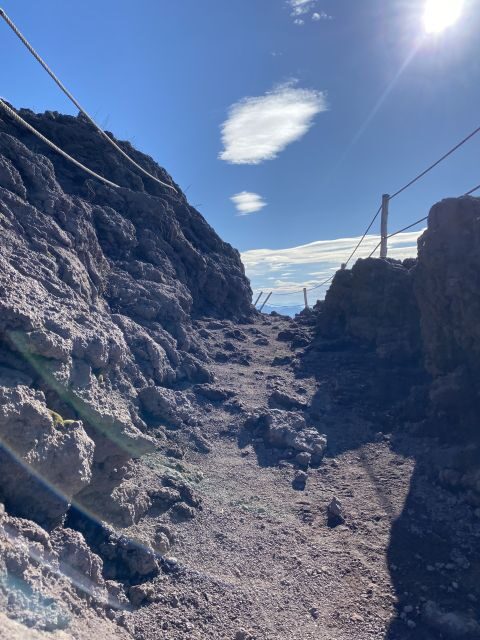 From Sorrento: Pompeii and Vesuvius Skip-the-Line Tour - Pompeii with an English guide: what the two-hour walk focuses on