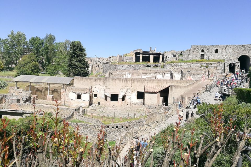 From Sorrento: Pompeii and Vesuvius Tour - Price and what’s included: getting value for $135.94