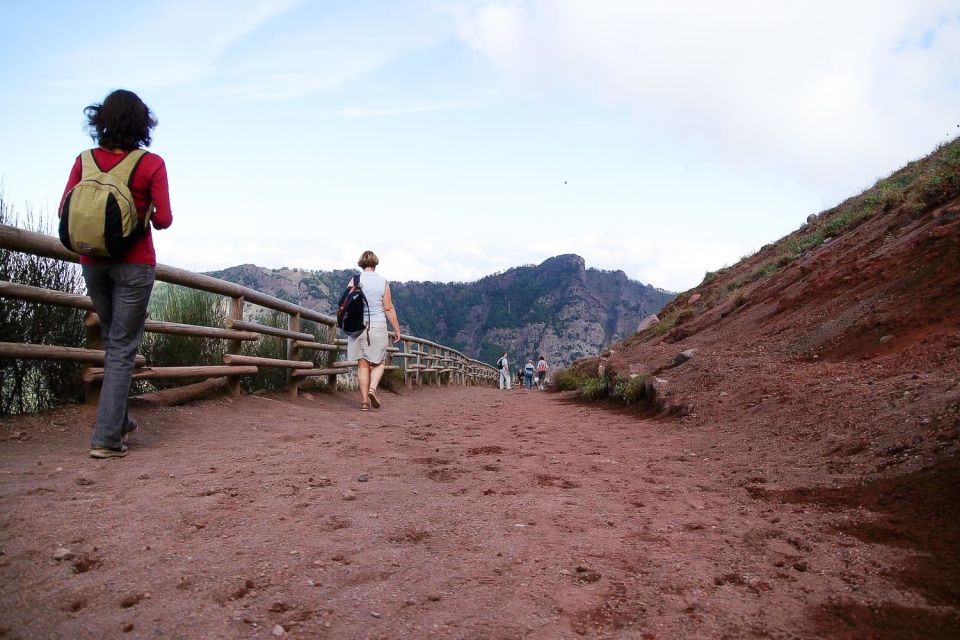 From Sorrento: Pompeii and Vesuvius Tour - Who should book this tour (and who might prefer another plan)