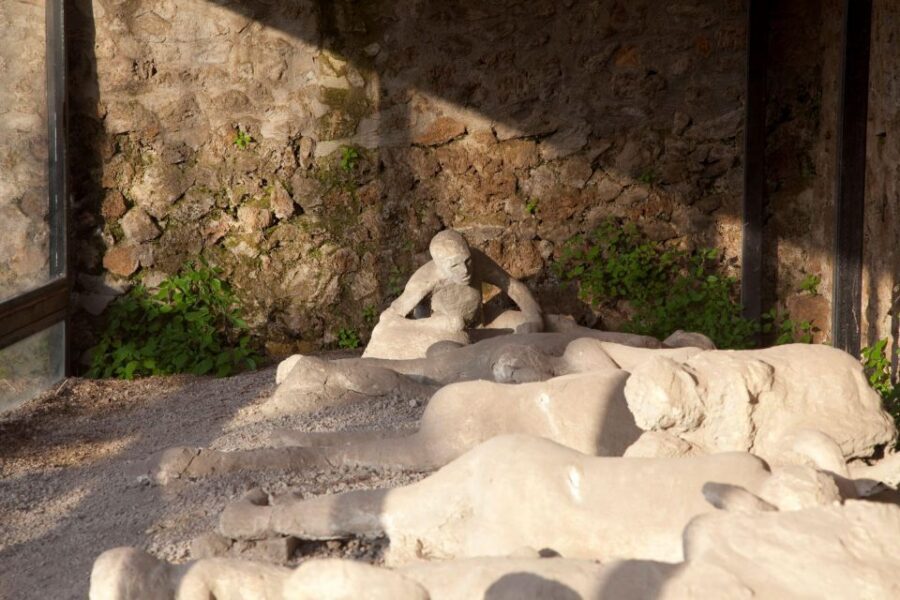 From Sorrento: Pompeii Guided Tour small group - Itinerary Flow: Pickup, Pompeii, and Smooth Drop-Off