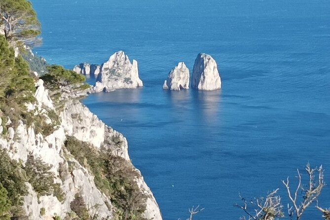 Full-Day Private Capri, Anacapri and Blue Grotto Tour from Naples - Villa San Michele: a worthwhile add-on, but not included