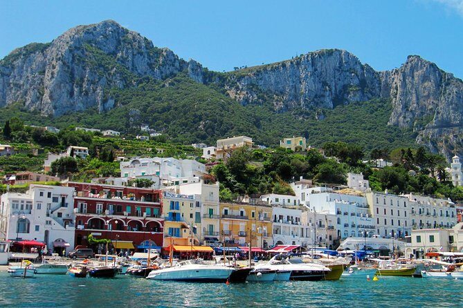 Full-Day Private Capri and Pompeii from Sorrento - Getting from Sorrento: pickup, minivan transport, and timing pressure