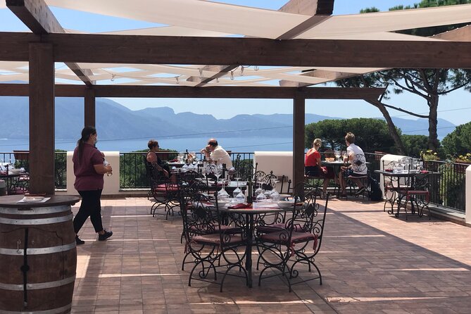 Full Day Private Tour in Pompeii, Vesuvio and Sorrento - Who This Tour Fits Best