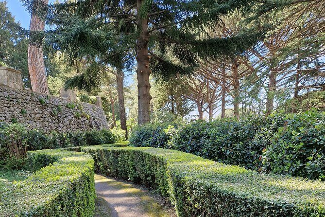 Full Day Private Tour of Pompeii and the Amalfi Coast - Lunch and Wine Near Pompeii: Bosco de Medici and How to Decide