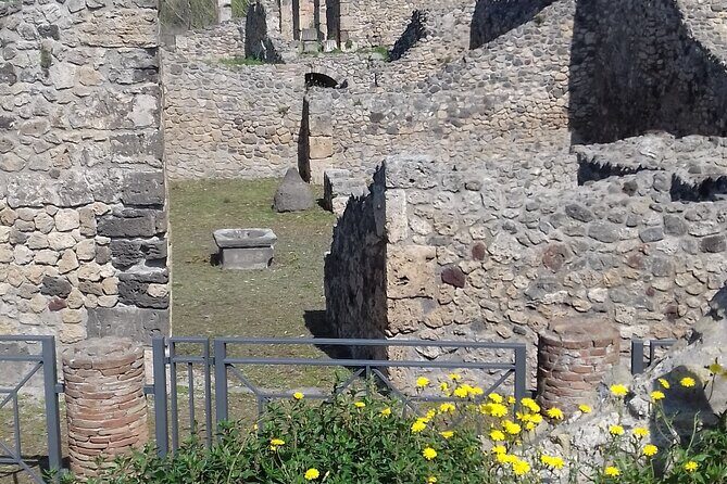 Full Day Tour Pompeii–Sorrento -Positano - Price and Value: What You Pay for, and What You’ll Still Cover