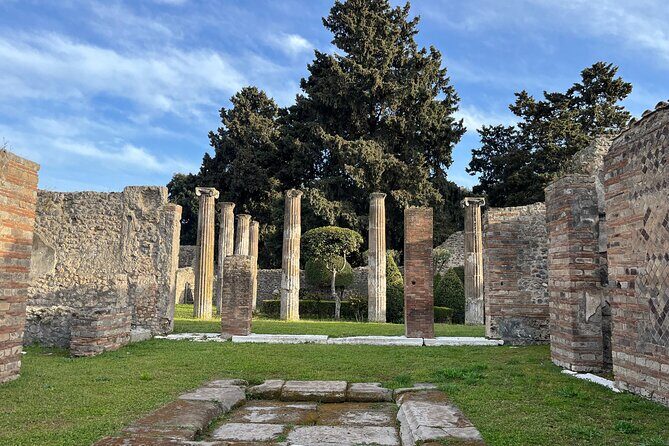 Full Day Tour to Pompeii, Vesuvius and Wine Tasting - Price and what you get: the value in private comfort
