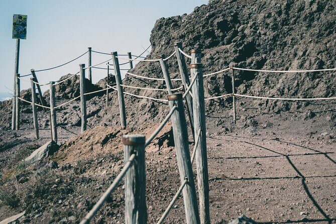 Full Day Tour to Pompeii, Vesuvius and Wine Tasting - Logistics that make or break a day like this