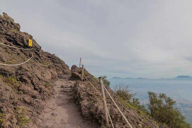 Full Day Tour to Pompeii, Vesuvius and Wine Tasting - Should you book this Pompeii, Vesuvius and wine tour?