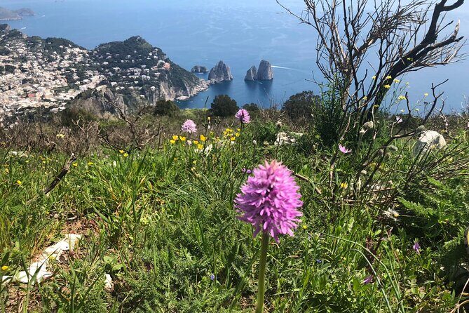 Gastronomic Hike on the Path of the Gods with Food Tasting - Food and wine details: what you should actually plan for