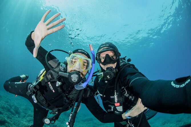 Guided diving for beginners without certification from Sorrento - Key highlights worth planning around