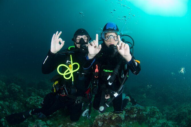 Guided diving for beginners without certification from Sorrento - Meeting up, quick theory, and getting your gear ready