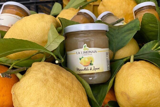 Guided tour of a historic lemon grove in Sorrento - Photo opportunities: when the grove becomes the best part