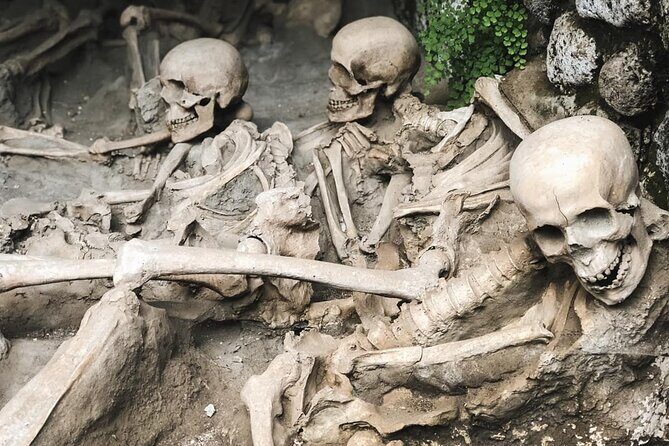 Guided Tour of Herculaneum with Lunch and Ticket Included - The Herculaneum guided section: streets, houses, and a clear story