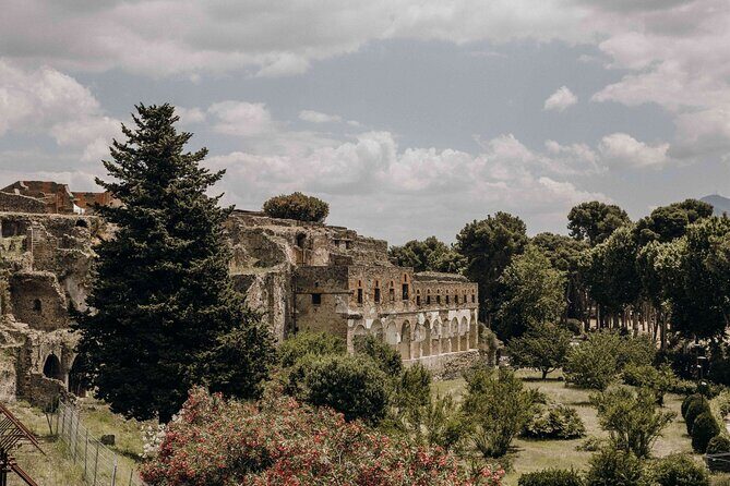 Guided Tour of Pompei, Lunch and Wine from Sorrento - Entry Ticket Included, So You Start With Less Friction