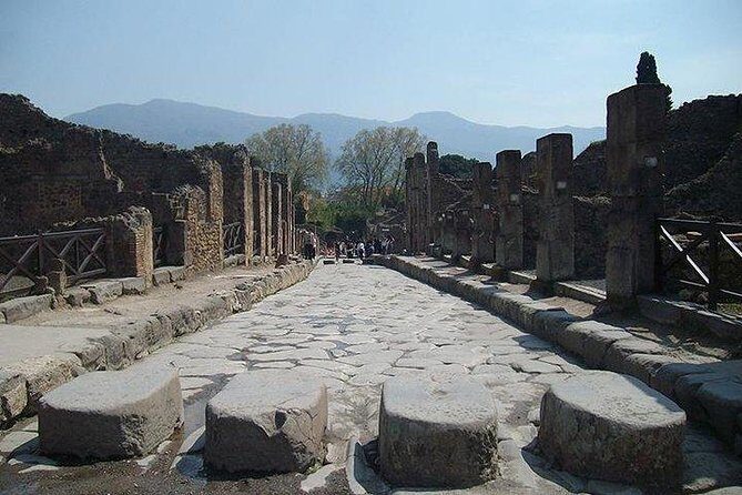 Guided Tour of Pompeii and Herculaneum with Lunch and Ticket - Lunch and wine at Sorrentino Winery (Vesuvius edition)