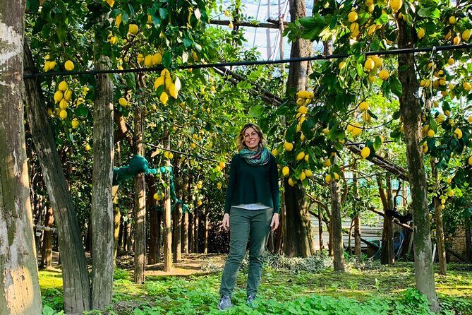 Guided tour of the history and tradition of the Sorrento lemon - Key highlights you should know before you go