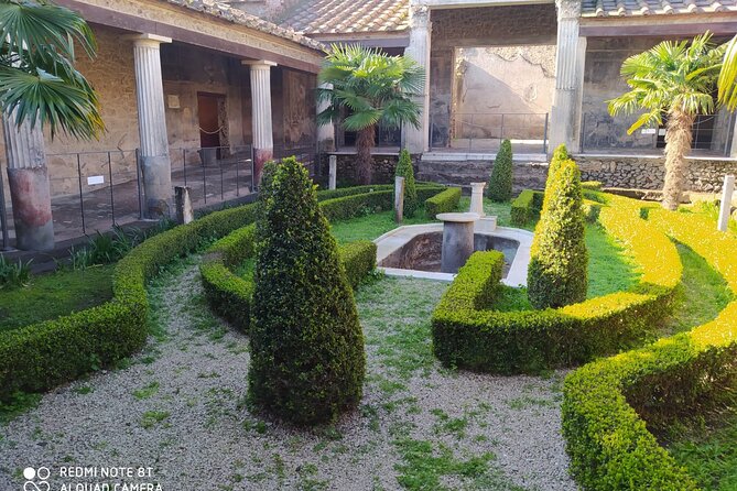 Guided Tours of Pompeii Excavations Historical and Cultural Itineraries - Key highlights you’ll care about