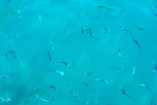 Half-Day Amalfi Coast Boat & Snorkeling Small Group Tour - The final swim and snorkel near Positano: the part you’ll remember most