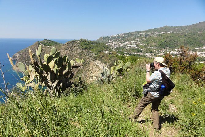 Half-day east coast hike in Ischia island with pick-up - Price and logistics: how this half-day is set up