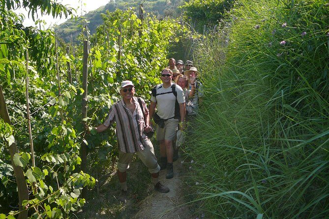 Half-day east coast hike in Ischia island with pick-up - San Pancrazio peninsula: sea panoramas with volcanic clues