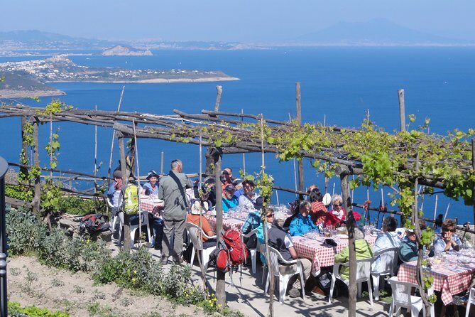 Half-day east coast hike in Ischia island with pick-up - La Scarrupata lookout: wild, romantic nature breaks