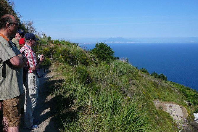 Half-day east coast hike in Ischia island with pick-up - Castello Aragonese viewpoint: a quick landmark hit