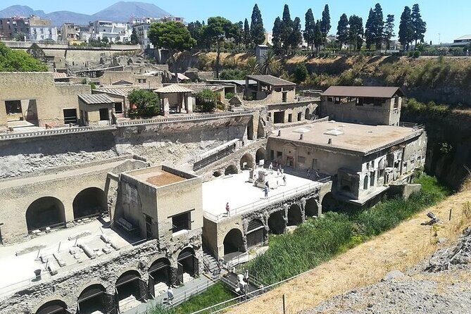 Half Day Excursion to Herculaneum from Naples with Lunch - Price and Value: What $123.10 Covers (and What Doesn’t)