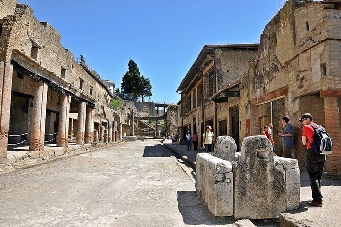 Half Day Excursion to Herculaneum from Naples with Lunch - Who Should Book This Herculaneum and Pompeii Half-Day