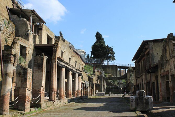 Half Day Herculaneum from Sorrento - The 2-hour guided visit: what you’ll actually see