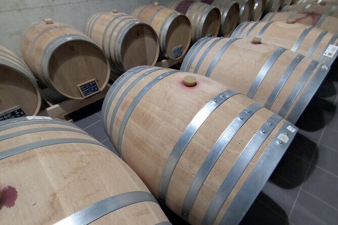Half-Day Irpinia Wine Tour from SALERNO - Key highlights to look for