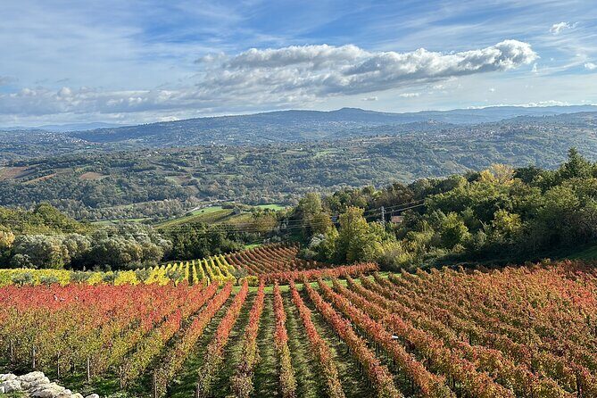 Half-Day Irpinia Wine Tour from SALERNO - Price and value: what $229.25 buys you in a half-day