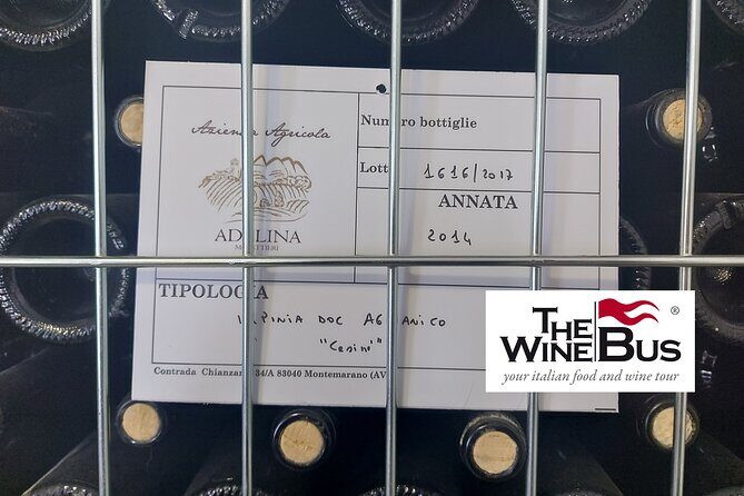 Half-Day Irpinia Wine Tour from SALERNO - What you’ll actually do, step by step