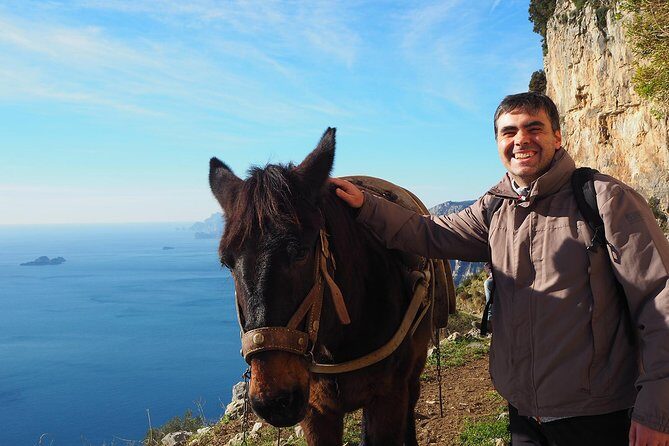Half-Day Private Amalfi Coast Path of the Gods Hike with Lunch - Price and value: what $336.07 per person buys you