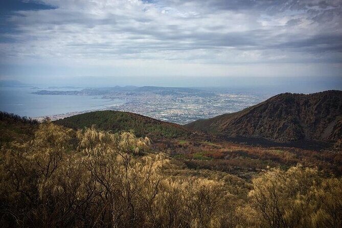 Half-Day Vesuvius Drive and Summit Hike from Naples with Lunch - The guides and drivers: why the human touch matters here