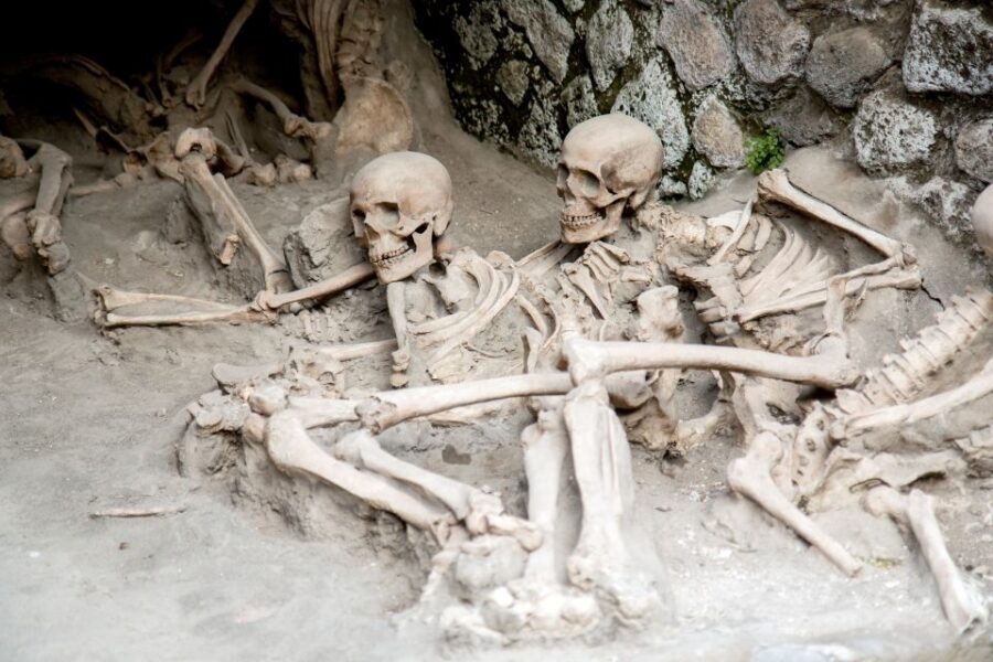 Herculaneum: 2-Hour Skip-the-Line Tour from Sorrento - Who should book this Herculaneum tour (and who should skip it)