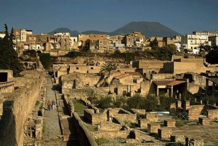 Herculaneum: 2hour Shared Guided Tour + entry tickets - Meeting at the ticket office and getting in smoothly