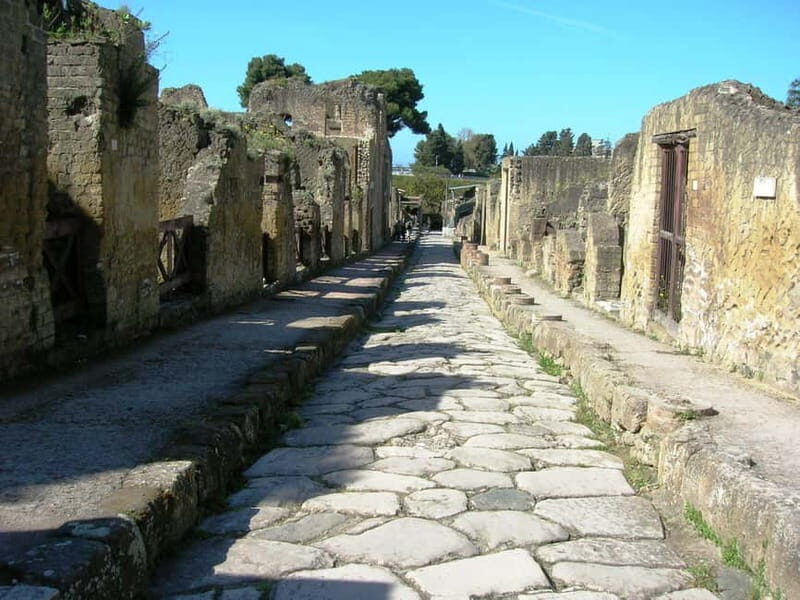 HERCULANEUM AND VESUVIUS: PRESTIGE TOUR FROM NAPLES - A small-group minibus from central Naples