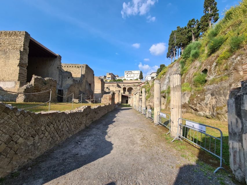 Herculaneum Archaeological Park smart Audio Tour - Spa and Gym Stops: Why Sectioned Audio Works