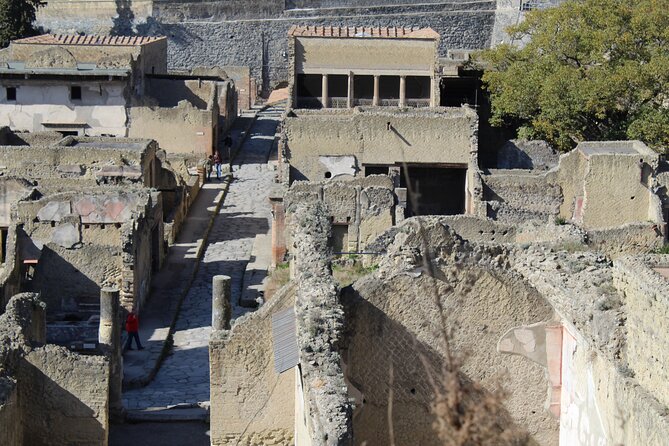 Herculaneum Private Guided Tour Led by a Local Top-rated Guide - All inclusive - Forum, Basilica, and Thermal Baths: the city’s daily rhythm