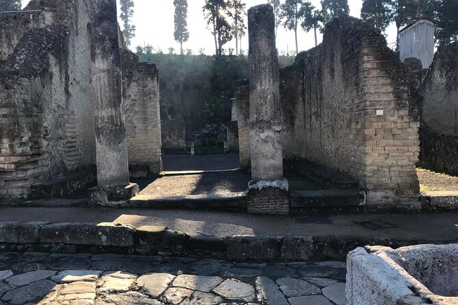 Herculaneum - Private Tour (skip-the-line admission included) - Private Tour Energy: Only Your Group, Calmer Pacing